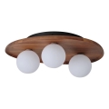 Osram - Lámpara de techo ACACIA NEST 3xG9/5W/230V acabado en acacia