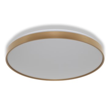 Osram - Lámpara de techo LED CEILING LUXO LED/60W/230V Ø 56 cm dorada