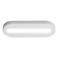 Osram - Luz LED orientativa con sensor de movimiento MOBILE LED/0,5W/3,7V 330 mAh CRI 90 blanco