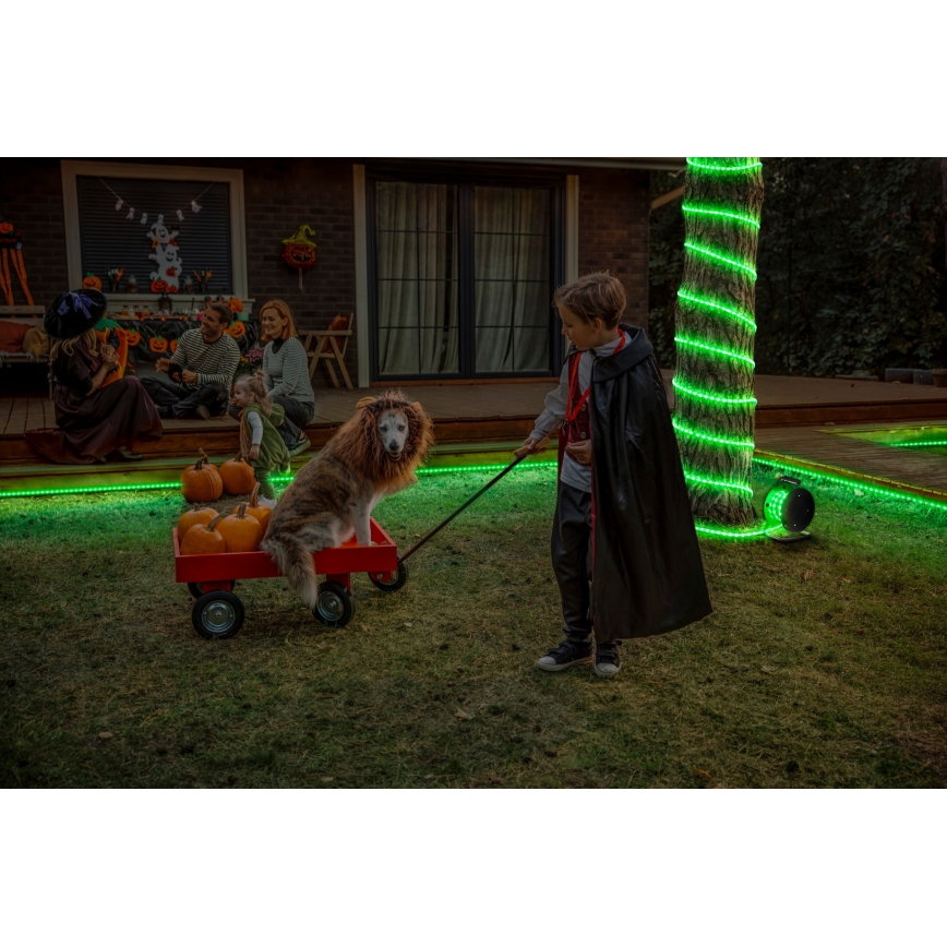 Osram - LED RGB tira LED regulable para exteriores FLEX 20m LED/135W/230V IP65 + mando a distancia