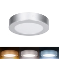 Panel LED 2 en 1 para montaje en superficie/empotrado LED/12W/230V 3000/4000/6000K Ø17cm IP54 plateado