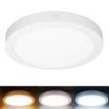 Panel LED 2 en 1 para montaje en superficie o empotrado, 24 W/230 V, 3000/4000/6000 K, diámetro 30 cm, IP54, blanco