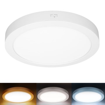 Panel LED 2 en 1 para montaje en superficie o empotrado, 24 W/230 V, 3000/4000/6000 K, diámetro 30 cm, IP54, blanco