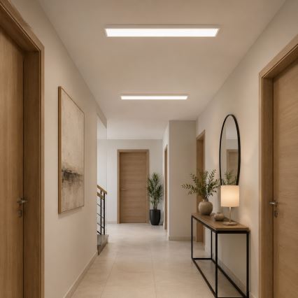 Panel LED de superficie OREGA LED/40W/230V 4000K IP40