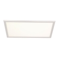 Panel LED LED/24W/230V 4000K
