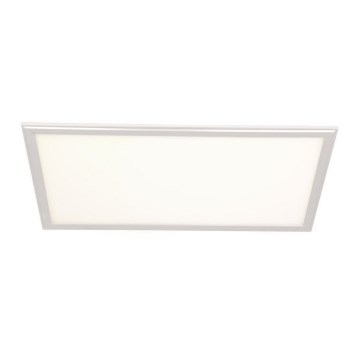 Panel LED LED/24W/230V 4000K