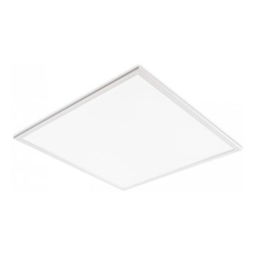 Panel LED para falso techo DAVRO LED/40W/230V 4000K 62x62 cm blanco