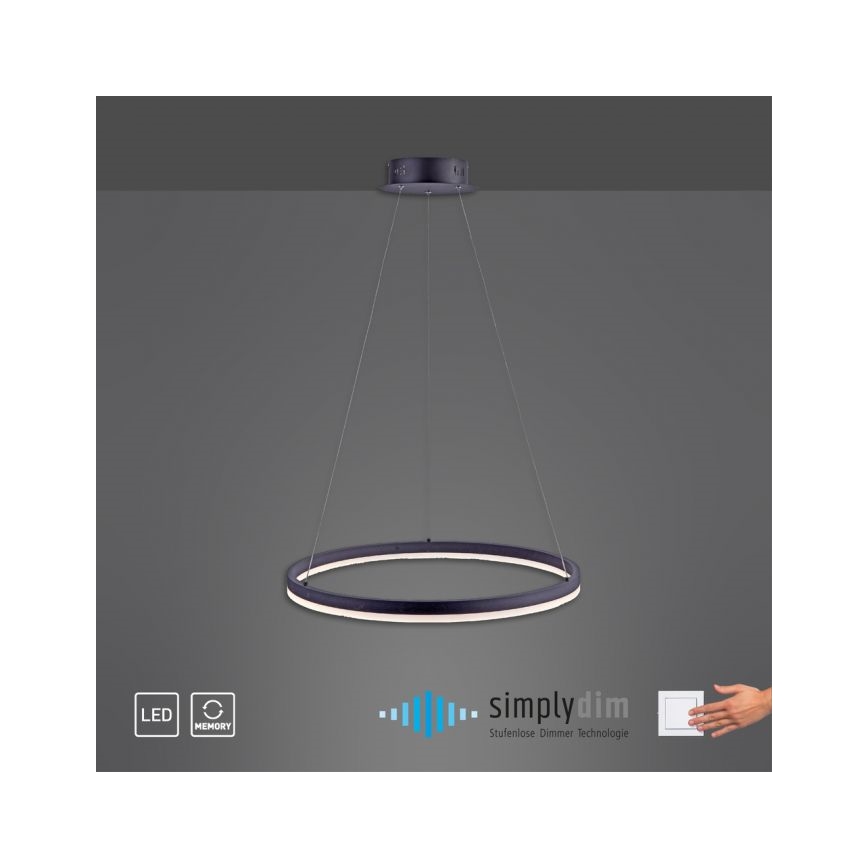 Paul Neuhaus 2382-13 - Lámpara colgante LED regulable TITUS LED/38,5W/230V