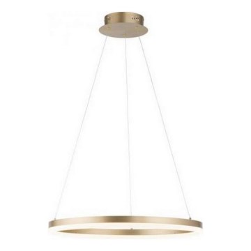 Paul Neuhaus 2382-60 - Lámpara de araña LED regulable TITUS LED/38,5W/230V