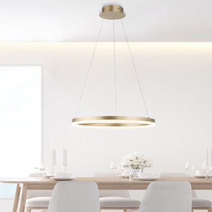 Paul Neuhaus 2382-60 - Lámpara de araña LED regulable TITUS LED/38,5W/230V