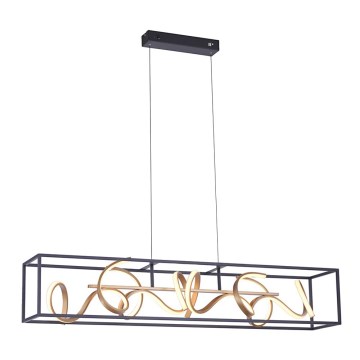Paul Neuhaus 2416-18 - LED Lámpara colgante regulable SELINA 4xLED/10,2W/230V