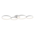 Paul Neuhaus 6183-16 - Plafón LED regulable KIRINGE LED/26W/230V