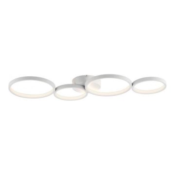 Paul Neuhaus 6183-16 - Plafón LED regulable KIRINGE LED/26W/230V