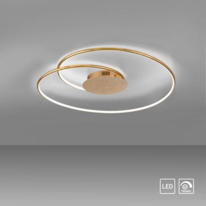 Paul Neuhaus 6189-12 - Plafón LED regulable NASTRO LED/26W/230V