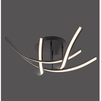 Paul Neuhaus 6474-48 - Lámpara de techo LED regulable LINDA 4xLED/7W/230V