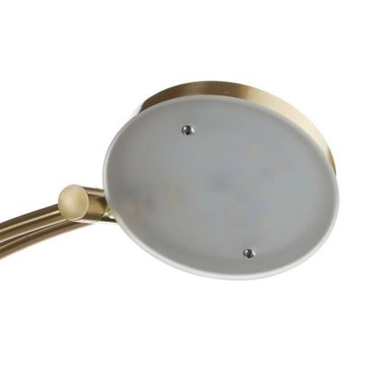 Paul Neuhaus 655-60 - Lámpara de pie LED regulable ALFRED LED/28W/230V+LED/4W/230V latón