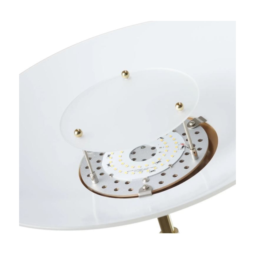 Paul Neuhaus 655-60 - Lámpara de pie LED regulable ALFRED LED/28W/230V+LED/4W/230V latón