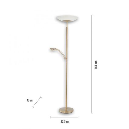 Paul Neuhaus 655-60 - Lámpara de pie LED regulable ALFRED LED/28W/230V+LED/4W/230V latón
