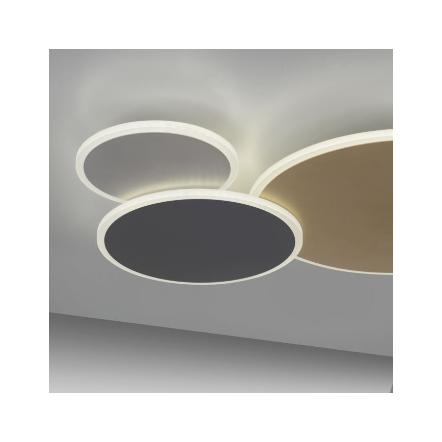 Paul Neuhaus 8007-70 - Plafón LED regulable Q-PIATO LED/35W/230V 2700-5000K Wi-Fi + control remoto