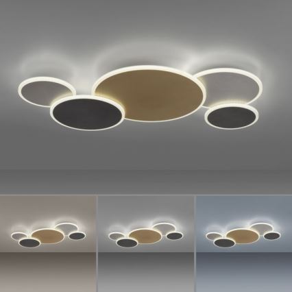 Paul Neuhaus 8008-70 - Plafón LED regulable Q-PIATO LED/49W/230V 2700-5000K Wi-Fi + control remoto