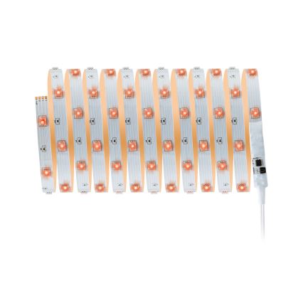 Paulmann 3988 - Tira LED RGBW regulable de 13 W TIP, 5 m, 230 V + mando a distancia