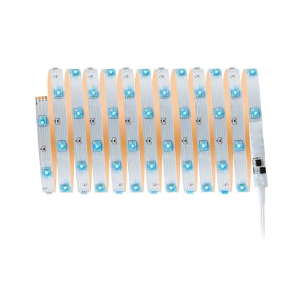 Paulmann 3988 - Tira LED RGBW regulable de 13 W TIP, 5 m, 230 V + mando a distancia