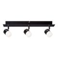 Paulmann 50099 - 3xLED/6,5W Foco regulable SMART DEON 230V ZigBee