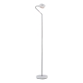 Paulmann 70920 - Lámpara de pie LED regulable RAMOS 230V blanca/cromo brillante