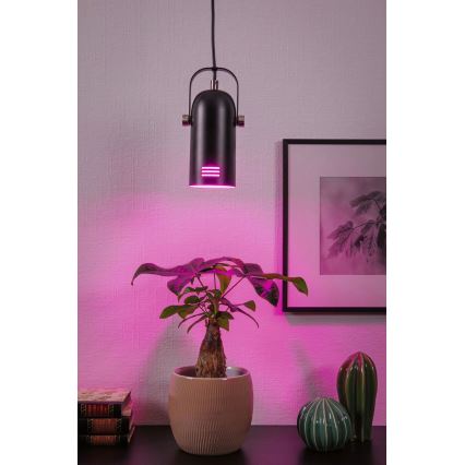 Paulmann 79766 - Lámpara colgante LED RGBW 1xE27/15W LAVEA 230V negra