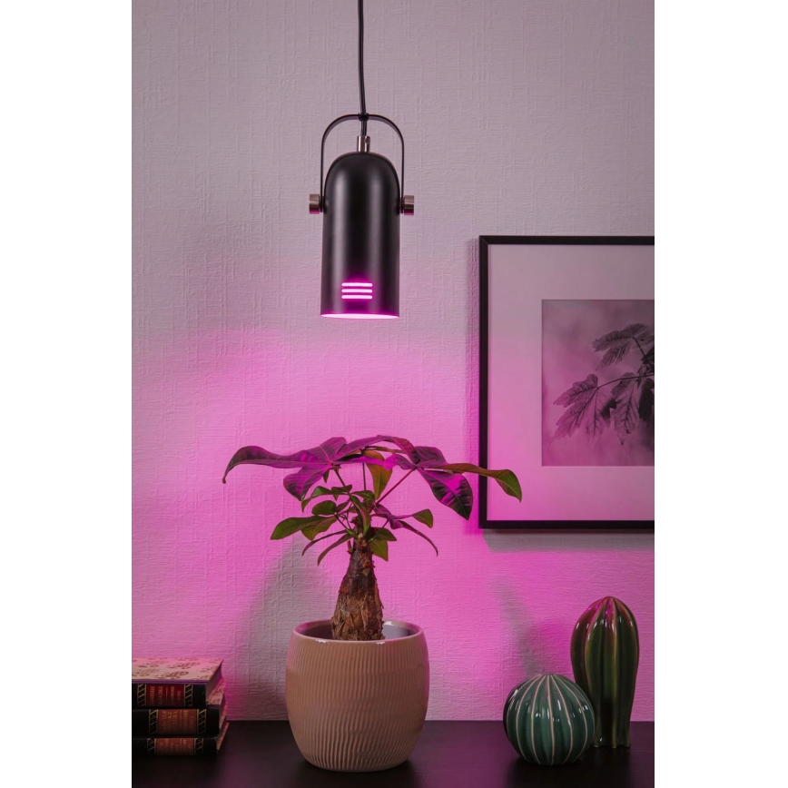 Paulmann 79766 - Lámpara colgante LED RGBW 1xE27/15W LAVEA 230V negra