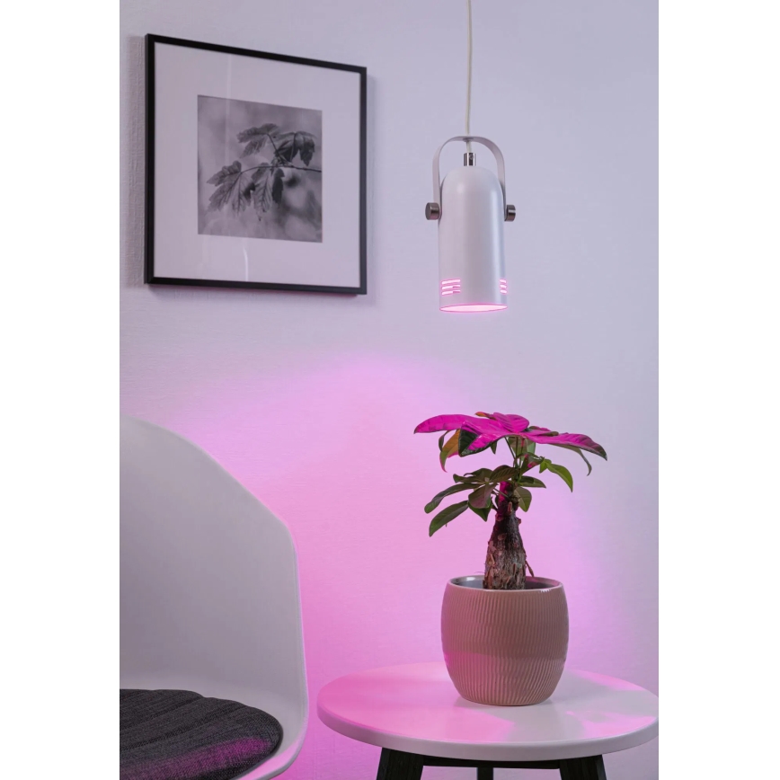 Paulmann 79767 - Lámpara colgante LAVEA LED RGBW, 1x E27/15W, 230V, blanca
