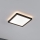 Paulmann 79920 - Panel LED regulable ATRIA 11,2W 230V 3000K 19x19 cm negro