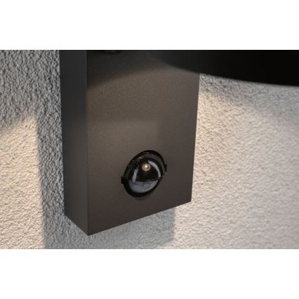 Paulmann 94453 - Aplique de exterior con sensor LED/6W IP44 CAPEA 230V