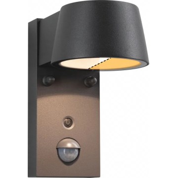 Paulmann 94714 - LED/6W IP44 Aplique para exterior con sensor CAPERA 230V 2200/3000K
