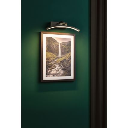 Paulmann 95559 - Lámpara para cuadros BENTO LED/6W 230V 30 cm latón