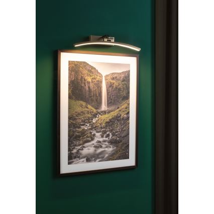 Paulmann 95560 - LED/8,5W Lámpara para cuadros BENTO 230V 40 cm latón