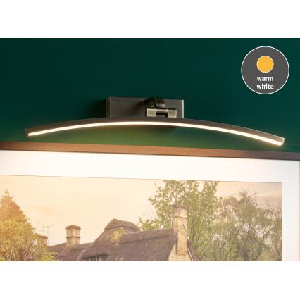 Paulmann 95561 - Aplique para cuadros LED/10W BENTO 230V 50 cm latón