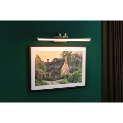 Paulmann 95570 - LED/11W Aplique para cuadros RENAN 230V 60 cm latón