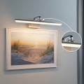 Paulmann 95573 - Lámpara para cuadros LED 11W RENAN 230V 60 cm cromo mate