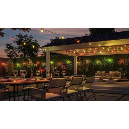 Philips - Guirnalda exterior LED RGBW regulable Hue FESTAVIA 10xLED 7m IP65