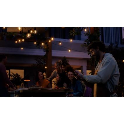 Philips - Hue FESTAVIA Guirnalda de exterior regulable LED RGBW, 30 LEDs, 21 m, IP65