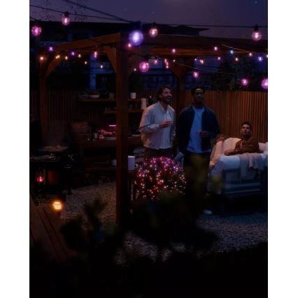 Philips - Hue FESTAVIA Guirnalda de exterior regulable LED RGBW, 30 LEDs, 21 m, IP65