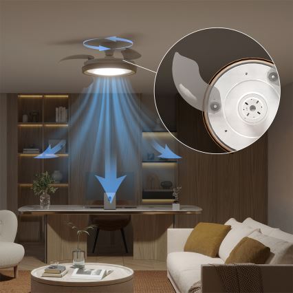 Philips - Lámpara de techo LED regulable con ventilador BLISS LED/35W/230V, marrón + mando a distancia