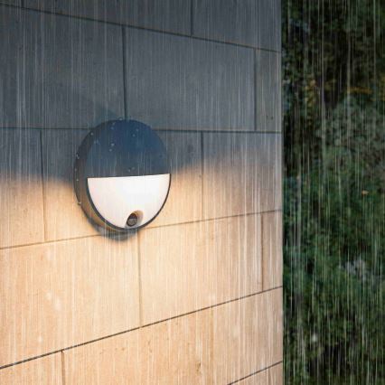 Philips - Aplique LED de pared para exterior con sensor CAPRICORN LED/4,3W/230V IP44