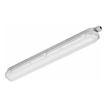 Philips - Luminaria técnica lineal LED CORELINE, 25 W, 230 V, 120 cm, IP66