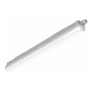 Philips Pila - Luminaria técnica tubular LED/60W/230V 150 cm IP65