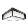 Philips - Plafón de exterior SKIES 2xE27/14W/230V IP44 antracita