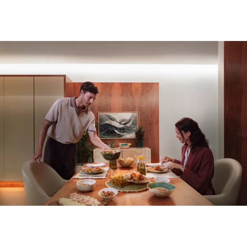 Philips - Tira LED RGBW regulable Hue FLUX 5m LED/48W/230V 2200-6500K