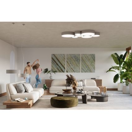 Plafón ARENA 35 2xE27/60W/230V gris