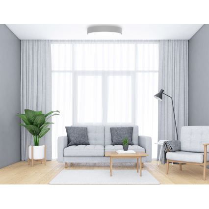 Plafón CLEO 6xE27/24W/230V diá. 80 cm gris